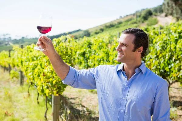 Улыбающийся винодел с бокалом вина — стоковое фото