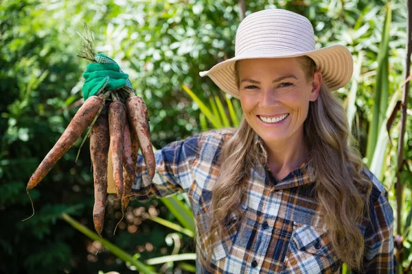 フィールドに収穫したニンジンを保持している女性 — ストック写真