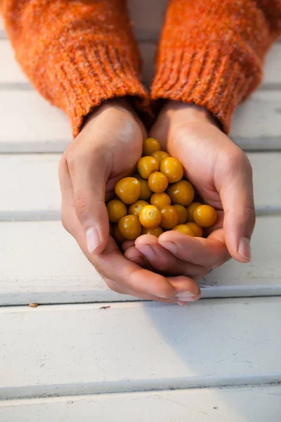 Hand van vrouw met herfst bessen — Stockfoto