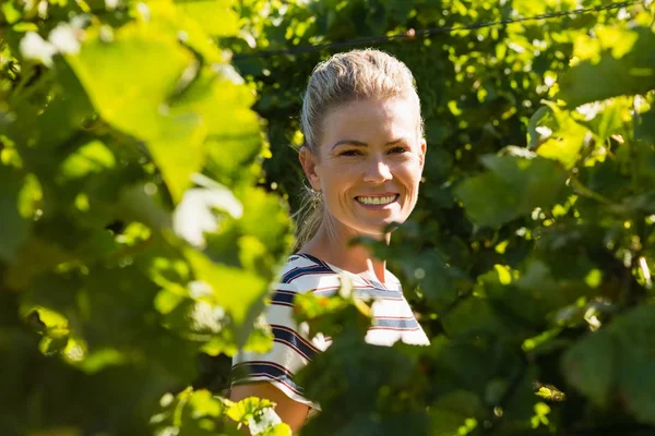 Kvindelig vintner stående i vingården - Stock-foto