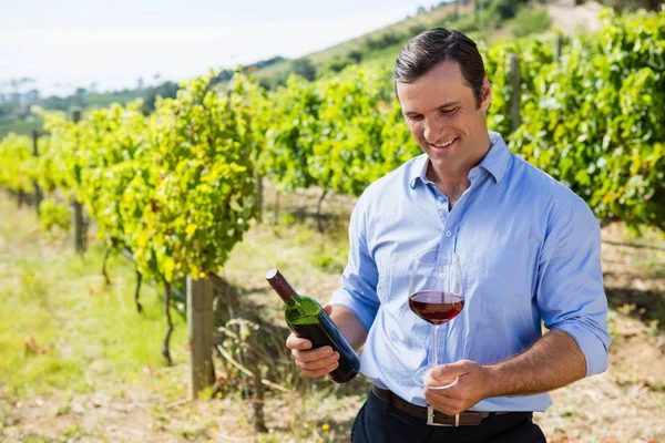 Uśmiechający się winiarza, badając wina — Zdjęcie stockowe