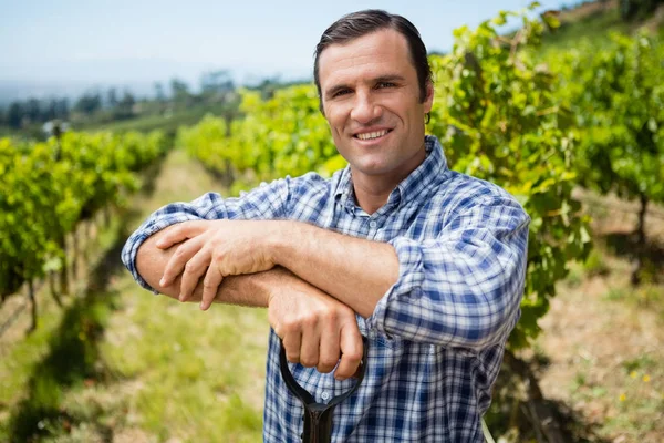 Portrait de vigneron debout avec pelle dans le vignoble — Photo