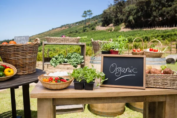 Varie verdure fresche e ardesia — Foto Stock