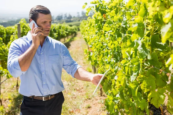 Viticoltore utilizzando tablet digitale mentre si parla sul telefono cellulare — Foto Stock