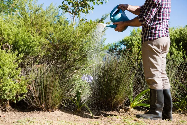 Man watering plants with watering can — Stock Photo, Image