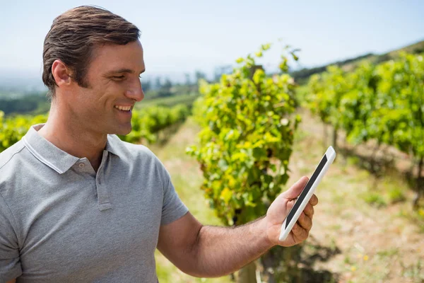 Pomocí digitálních tabletu v vinice vinař — Stock fotografie