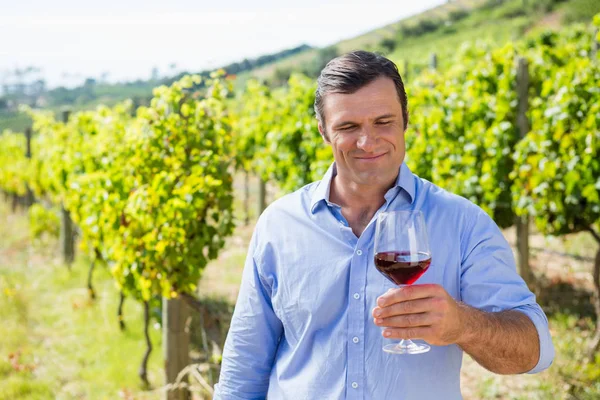 Uśmiechający się winiarza trzyma kieliszek wina — Zdjęcie stockowe