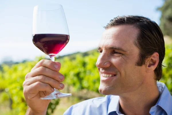 Улыбающийся винодел с бокалом вина — стоковое фото