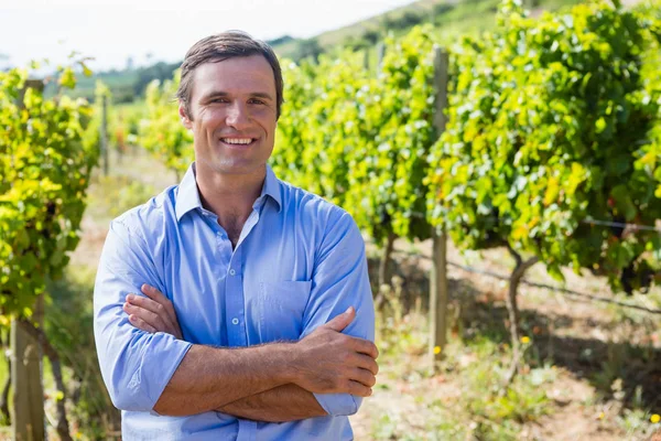 Portret uśmiechający się winiarza, stojąc z rękami skrzyżowanymi — Zdjęcie stockowe