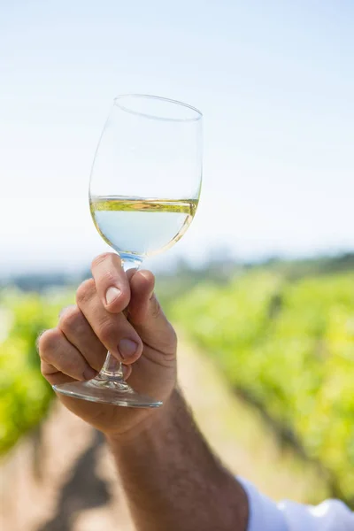 Winiarza gospodarstwa kieliszek wina — Zdjęcie stockowe