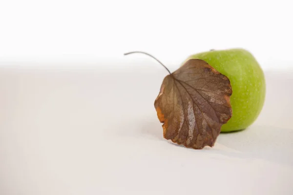 Herbstblätter auf Weiß — Stockfoto