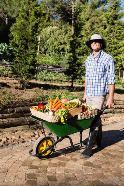 Fermier tenant des légumes frais dans une brouette — Photo