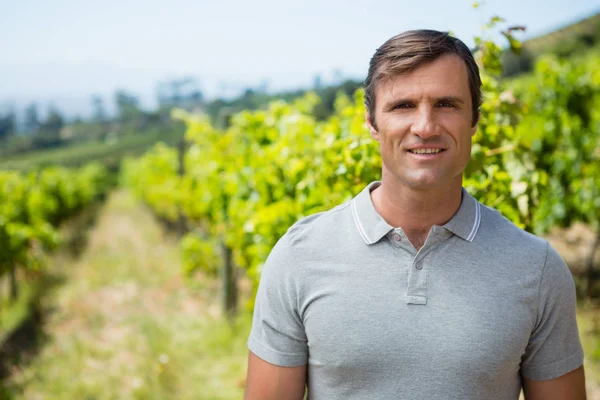 Porträtt av leende vingårdsgård stående i vingården — Stockfoto