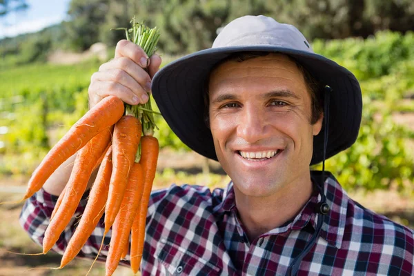 Petani memegang wortel hasil panen di lapangan — Stok Foto