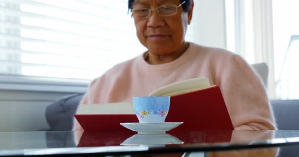 Mujer mayor leyendo libro en sala de estar — Vídeo de stock