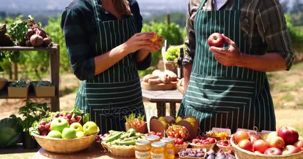 Casal de agricultores inspecionando seus produtos — Vídeo de Stock