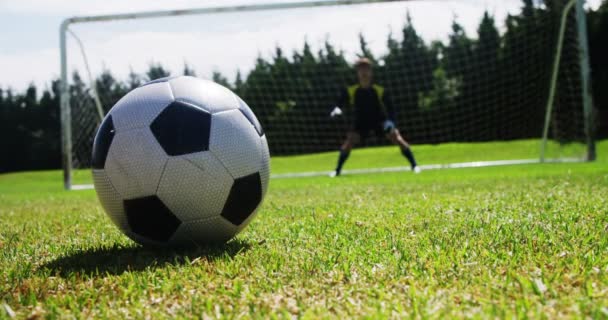 Goleiro defendendo um gol no campo — Vídeo de Stock