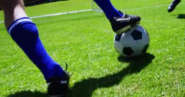 Due giocatori di calcio che colpiscono una palla in campo — Video Stock