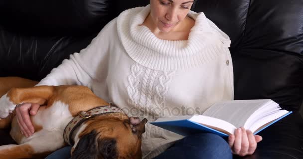 Frau liest Roman, während Hund auf ihrem Schoß entspannt — Stockvideo