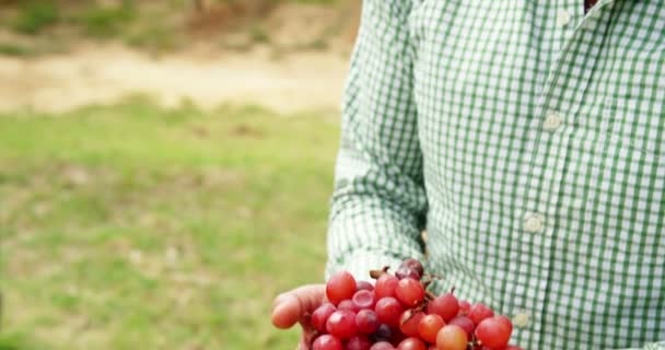 Portret van knappe man die een druivensoort — Stockvideo