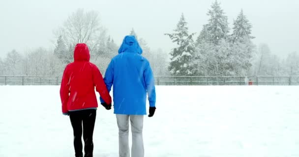 Pareja caminando de la mano en el paisaje nevado — Vídeo de stock
