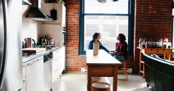 Pareja lesbiana interactuando entre sí en la cocina — Vídeos de Stock