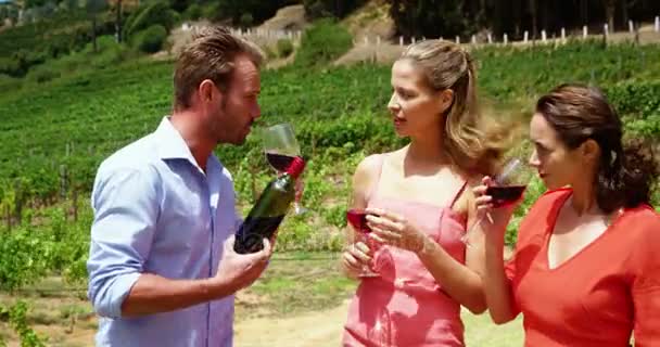 Trois personnes qui parlent de vin rouge — Video