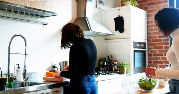 Lésbicas casal preparando comida — Vídeo de Stock