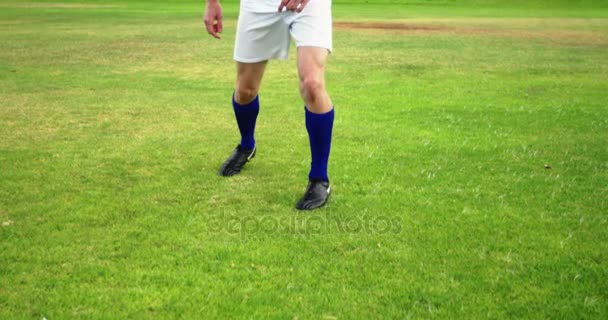 Футболист бьет по мячу в поле — стоковое видео