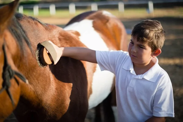 Rapaz a preparar o cavalo no rancho — Fotografia de Stock