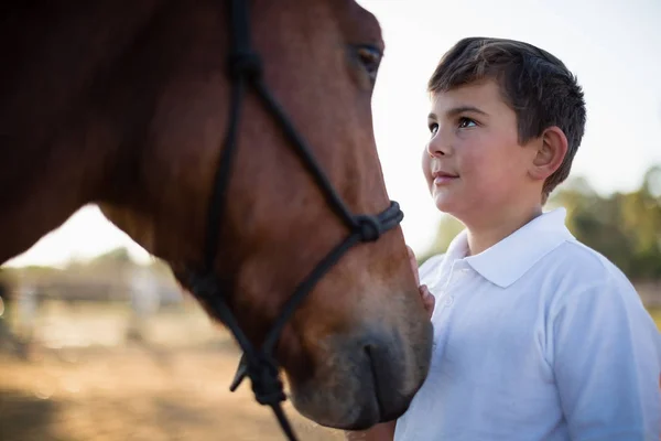 Jinete acariciando caballo en rancho — Foto de Stock