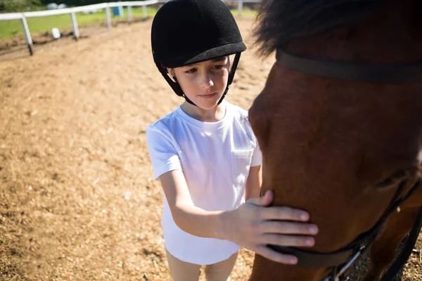 Дівчина пестить білого коня — стокове фото