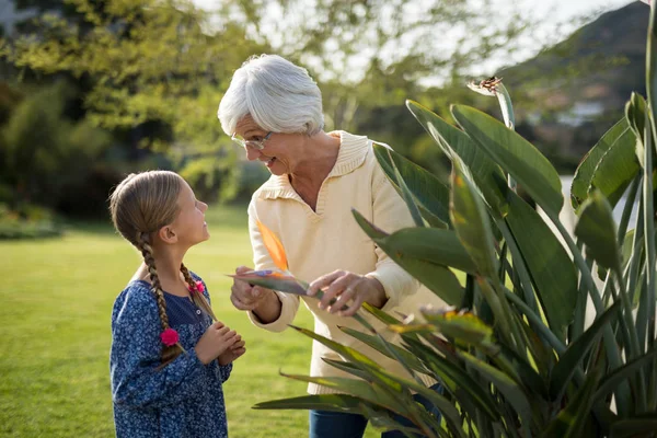 Petite-fille et grand-mère regardant la fleur — Photo