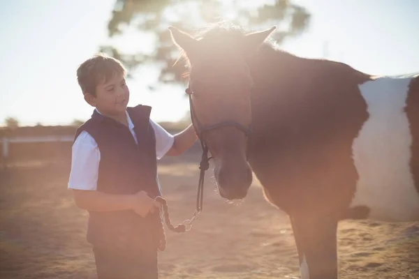 Menino segurando as rédeas de cavalo — Fotografia de Stock