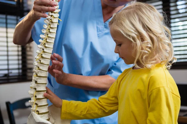 Physiotherapeutin erklärt Patientin Wirbelsäule — Stockfoto