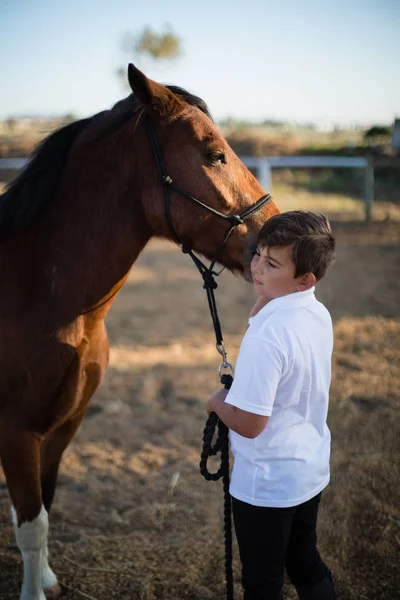 Rapaz cavaleiro acariciando um cavalo — Fotografia de Stock