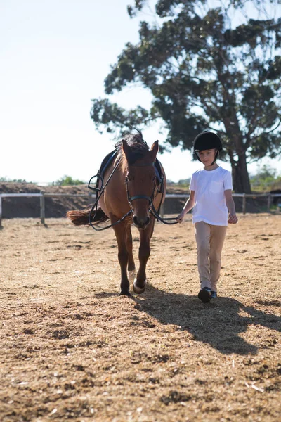 Rider menina andando com cavalo no rancho — Fotografia de Stock