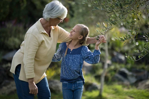 Petite-fille et grand-mère en interaction — Photo