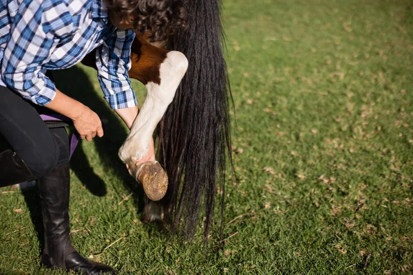 Człowiek czyszczenia kopyt konia — Zdjęcie stockowe
