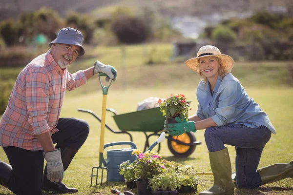 Seniorenpaar hält Pflanzbeet — Stockfoto