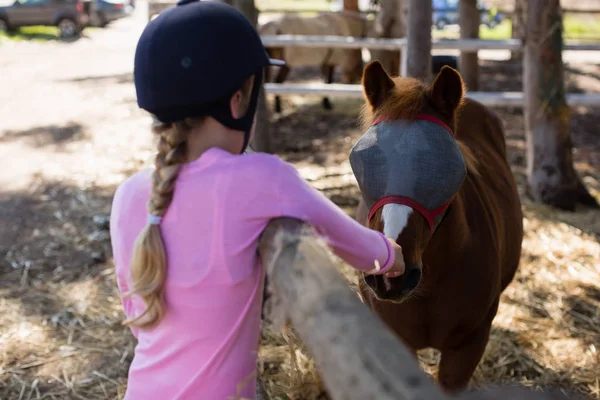 Menina alimentando o cavalo no rancho — Fotografia de Stock