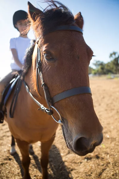 Menina montando um cavalo no rancho — Fotografia de Stock