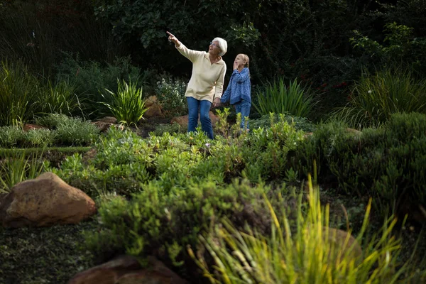 Grandmother pointing at distance — Stock Photo, Image