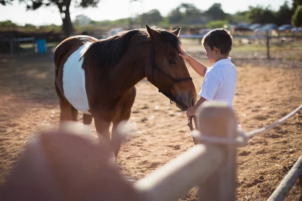 Rider boy acariciando um cavalo no rancho — Fotografia de Stock