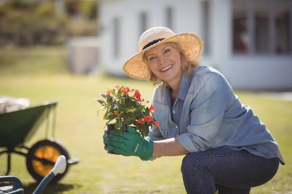 Mujer mayor sosteniendo planta de plantación — Foto de Stock