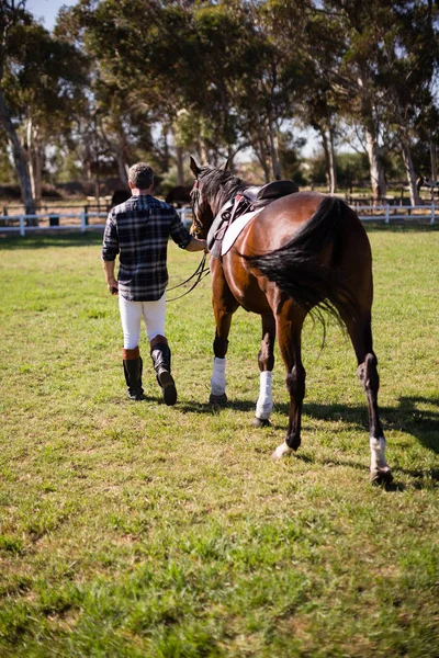 Man walking with horse in the ranch — Stock Photo, Image