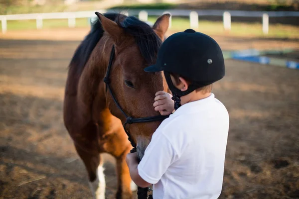 Cavalier garçon caressant un cheval — Photo