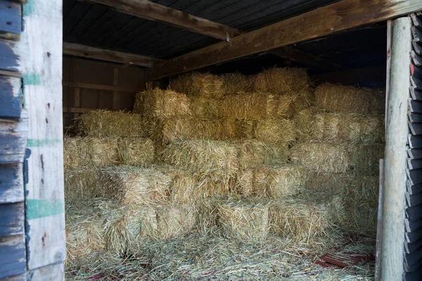 Stack of hay in barn — Stock Photo, Image