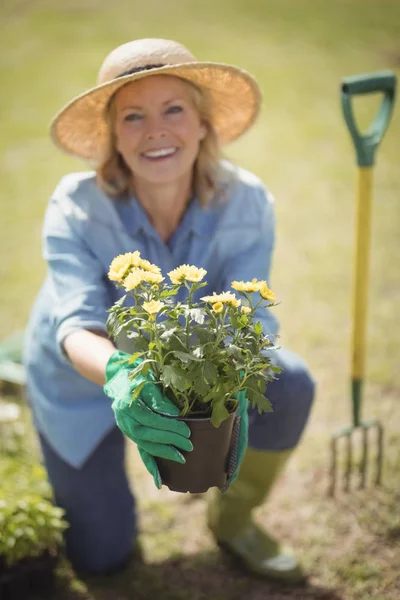 Mujer mayor ofreciendo una planta — Foto de Stock