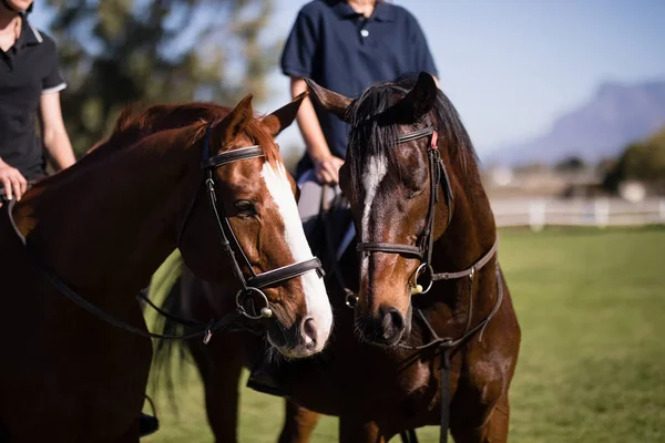 Přátelé sedící na koni na stodole — Stock fotografie